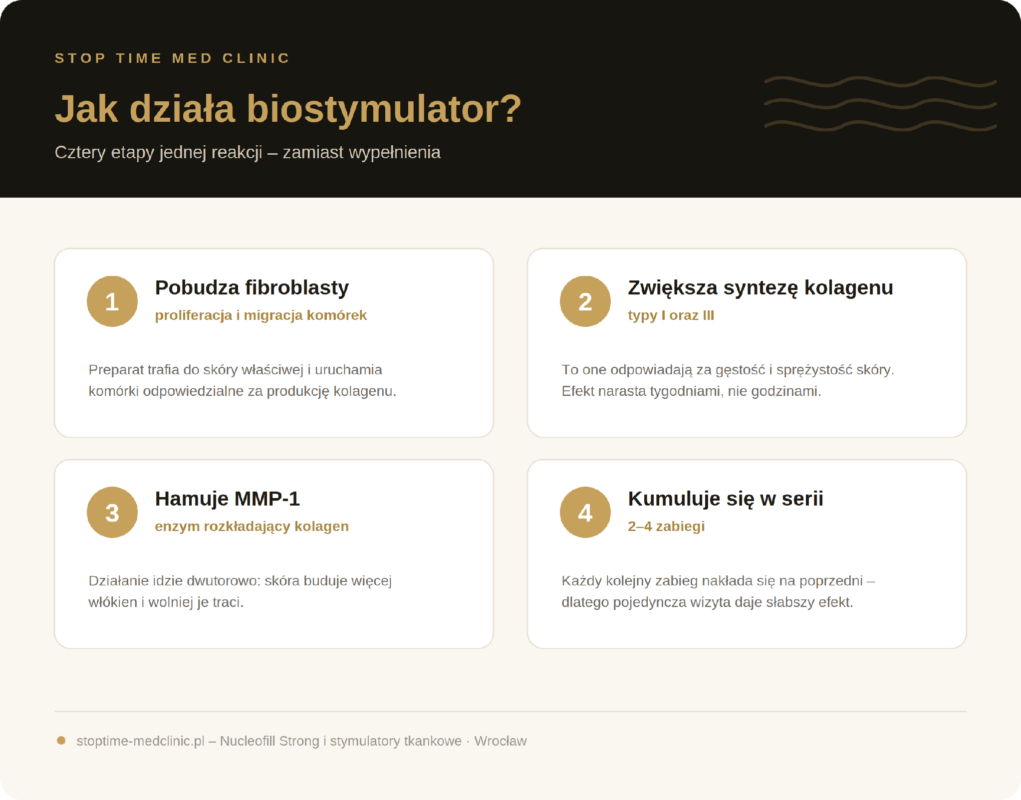 jak działa biostymulator